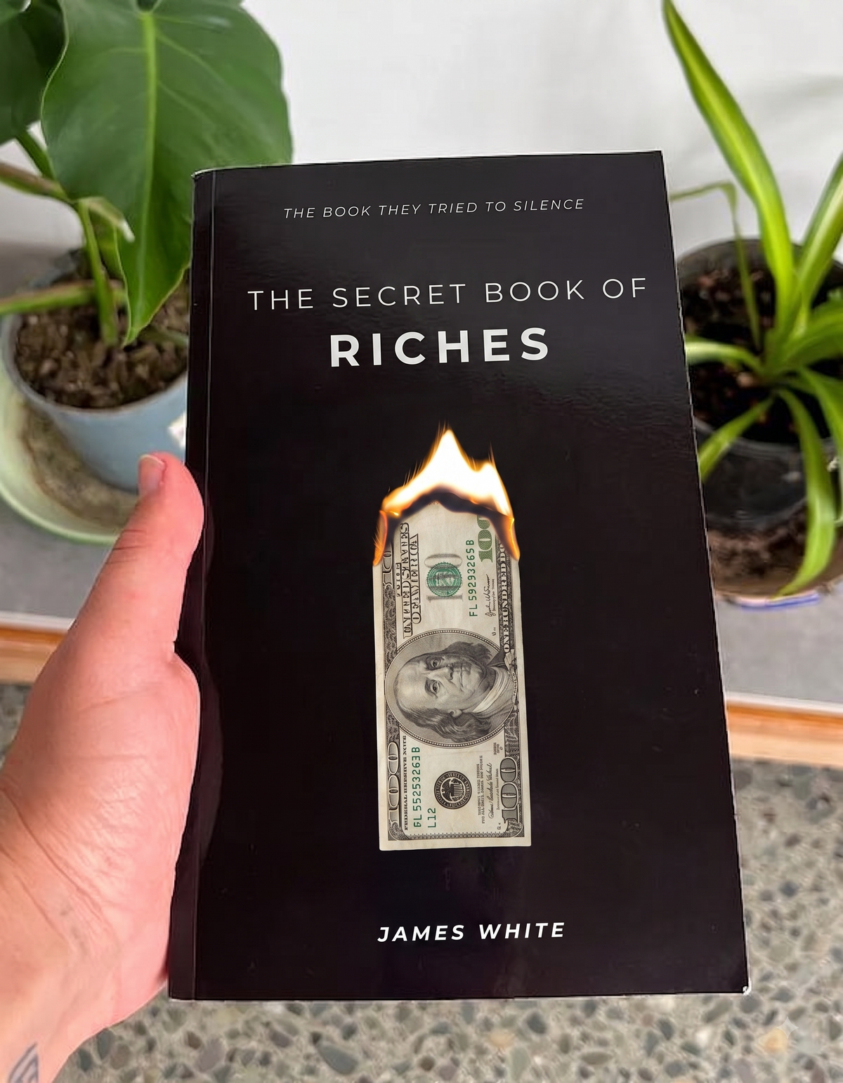 THE METHODS THAT WERE NEVER MEANT TO LEAVE THE INNER CIRCLE — The Secret Book of Riches by James White